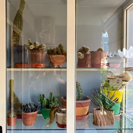 Apartment Mali